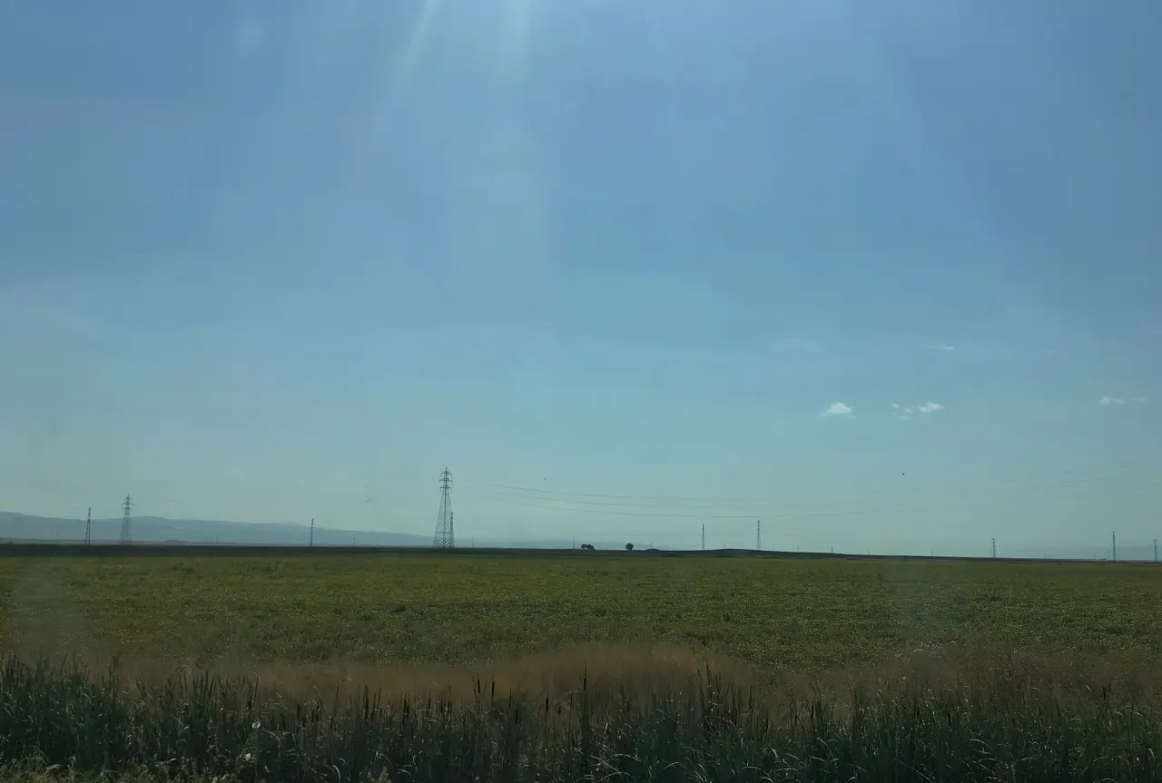 Muş Garı